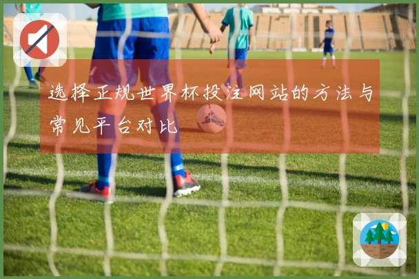 选择正规世界杯投注网站的方法与常见平台对比