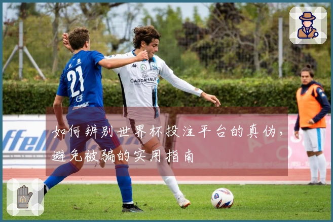 如何辨别世界杯投注平台的真伪，避免被骗的实用指南