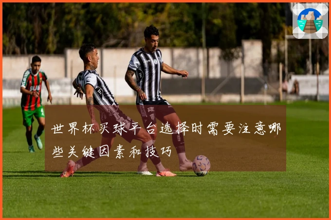 世界杯买球平台选择时需要注意哪些关键因素和技巧