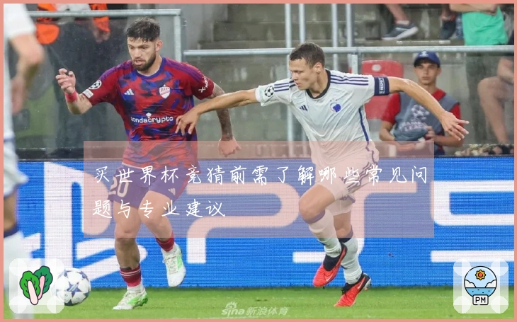买世界杯竞猜前需了解哪些常见问题与专业建议