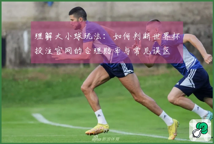 理解大小球玩法：如何判断世界杯投注官网的合理赔率与常见误区