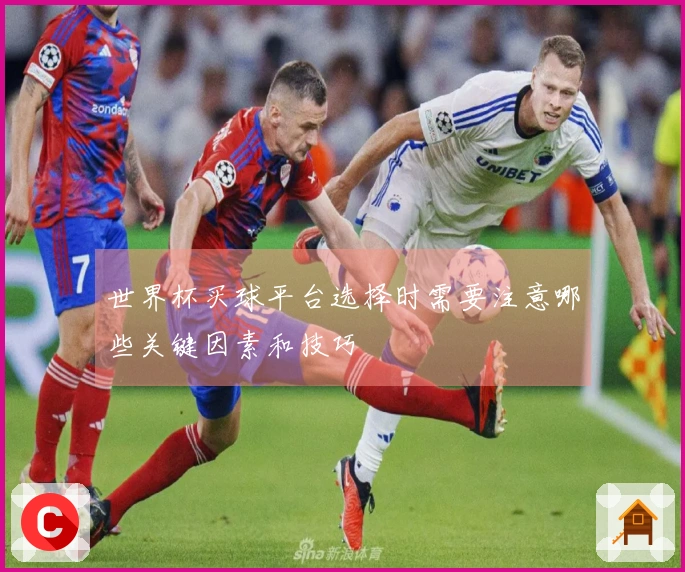 世界杯买球平台选择时需要注意哪些关键因素和技巧