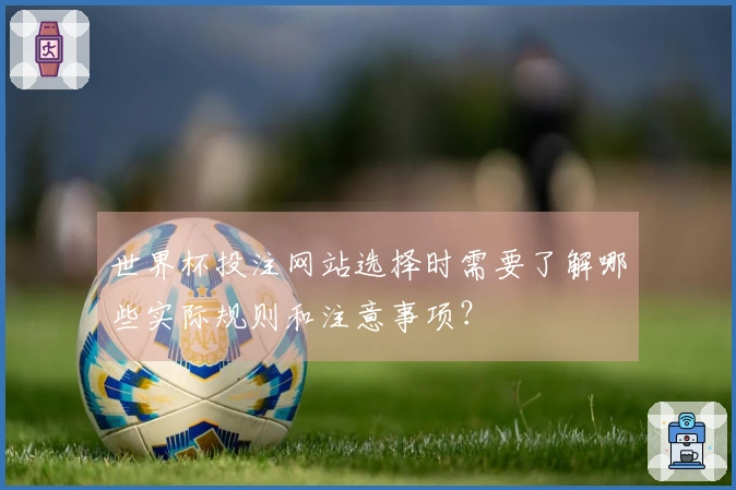 世界杯投注网站选择时需要了解哪些实际规则和注意事项？